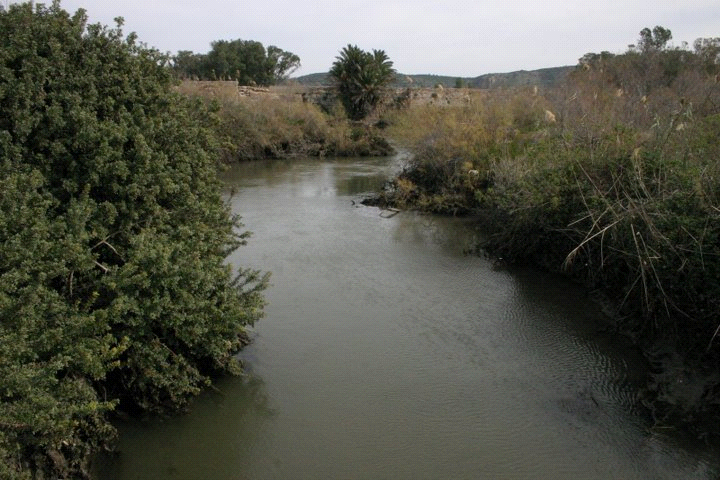 Image36