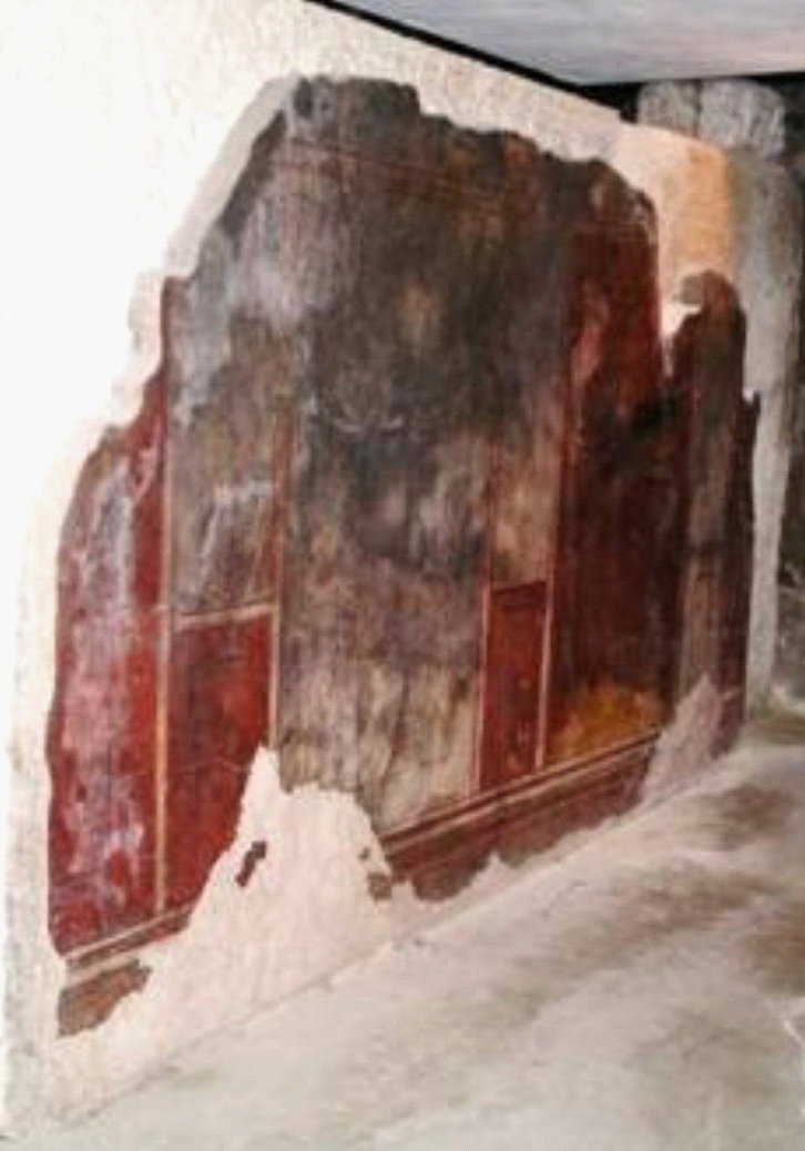Image46