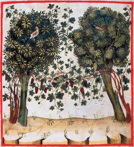 Image50