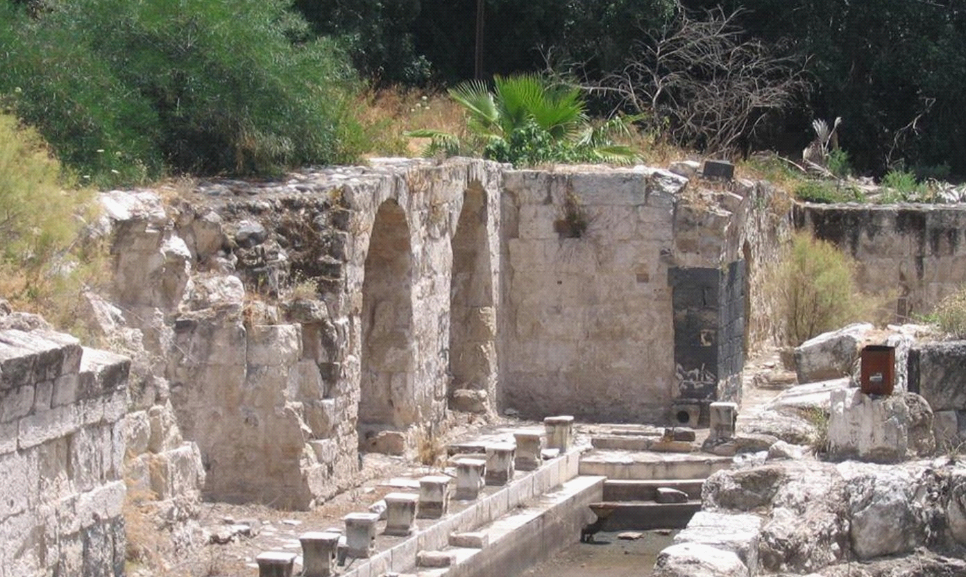 Image23