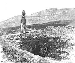 Image39