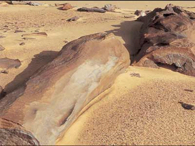 Image8