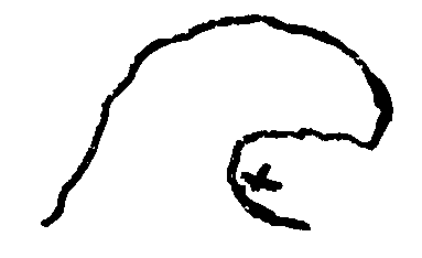 Disegno pag. 252 (ed. it. 254)